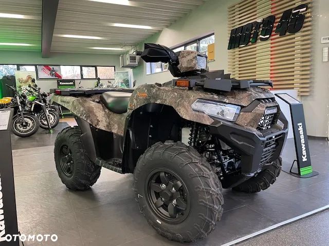 Kawasaki Brute Force