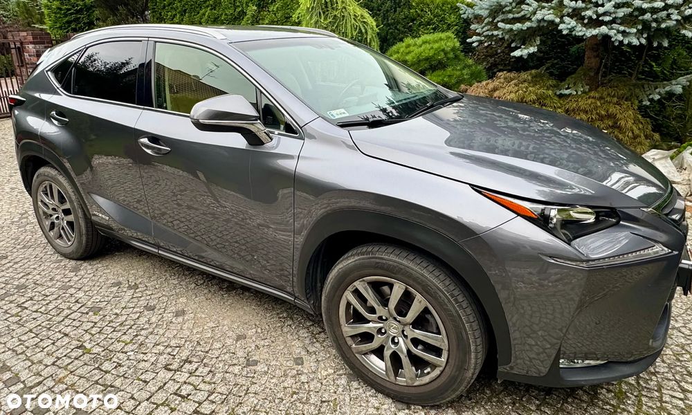 Lexus NX 300h Comfort AWD - 4