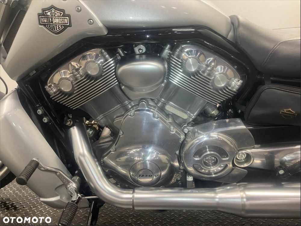 Harley-Davidson V-Rod Muscle - 7