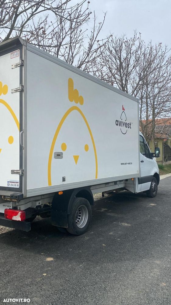 Mercedes-Benz FRIGO N1 - 2