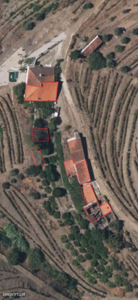 Quinta em Ervedosa do Douro - Grande imagem: 4/12