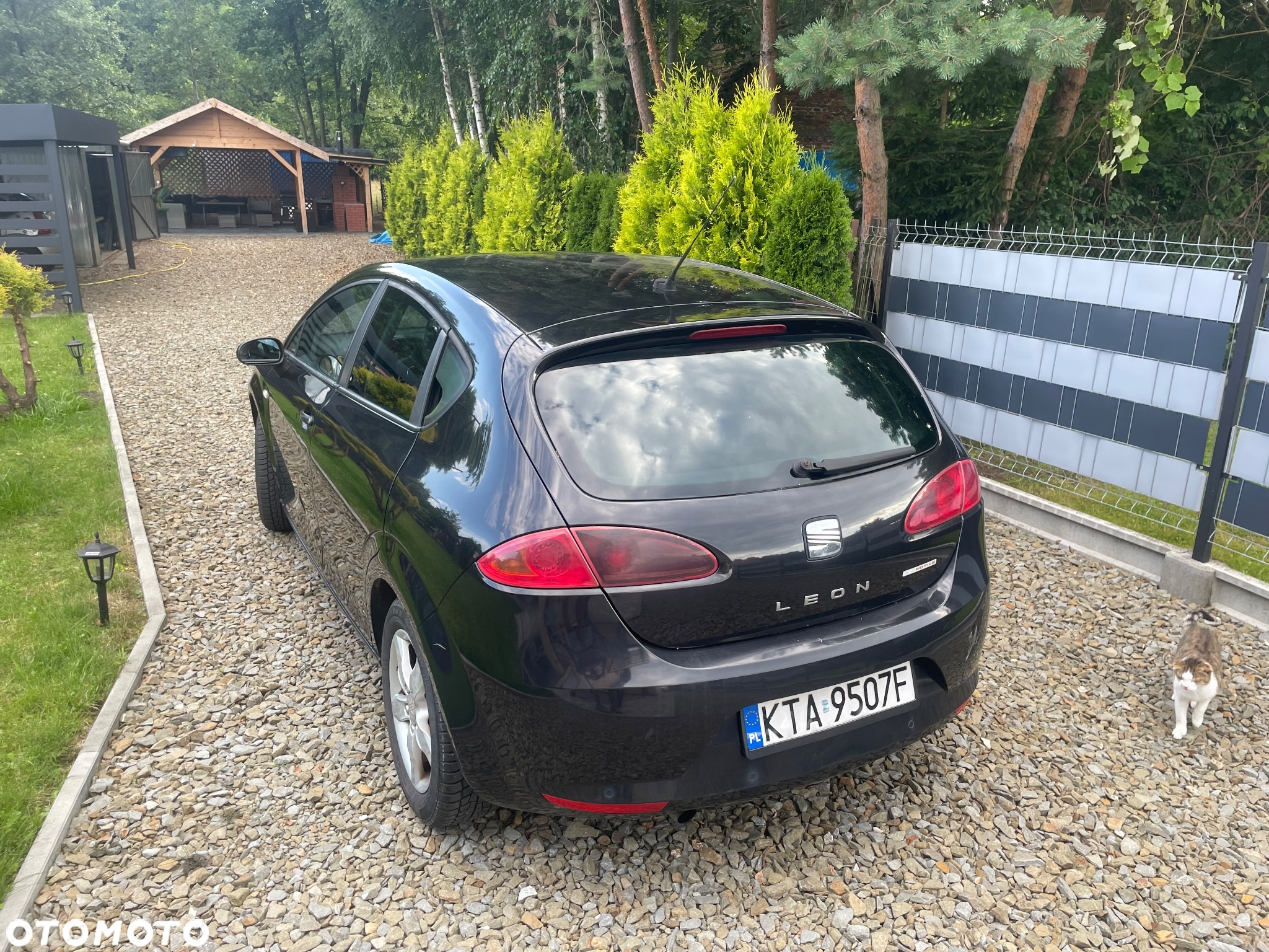 Seat Leon - 3