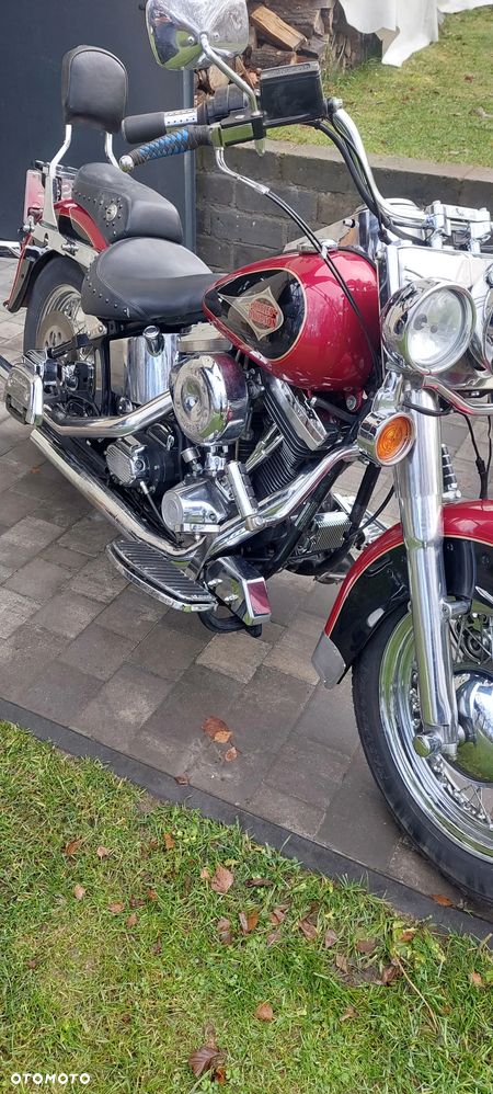 Harley-Davidson Softail - 2