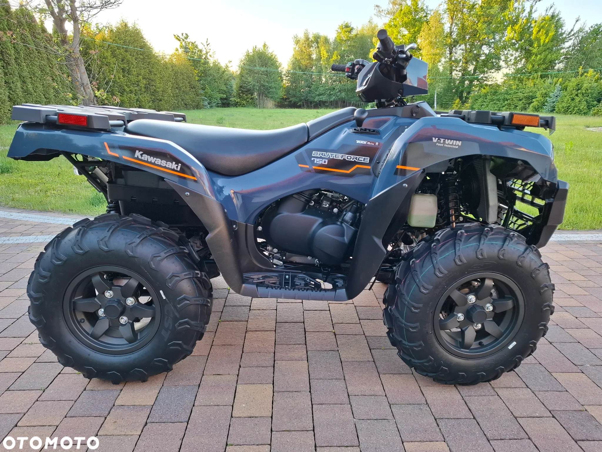 Kawasaki Brute Force