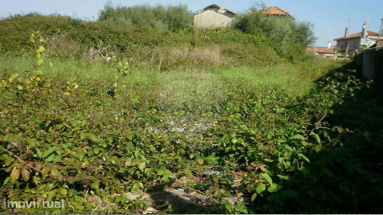 Terreno  para venda - Grande imagem: 3/28