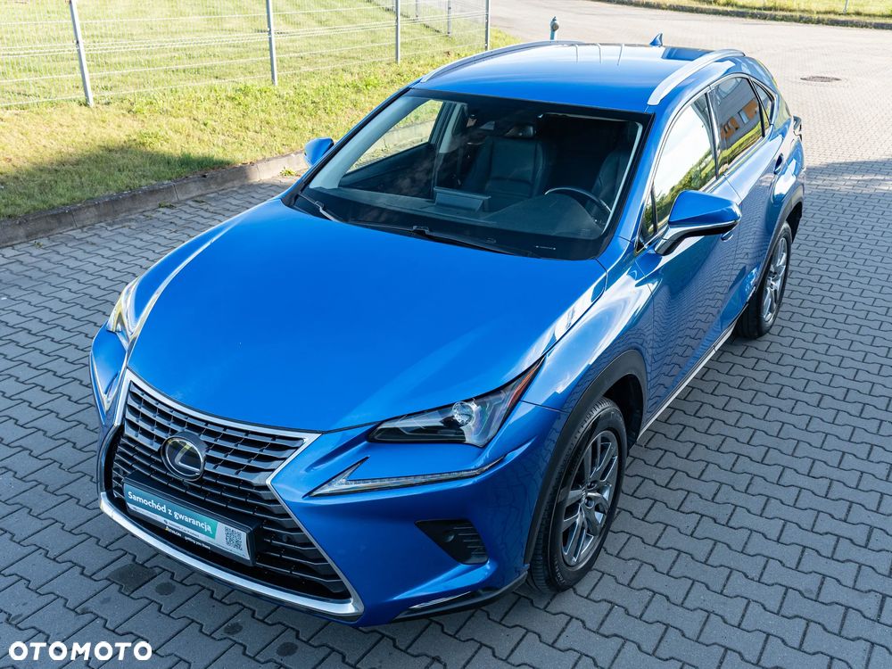 Lexus NX 300h Comfort AWD - 7