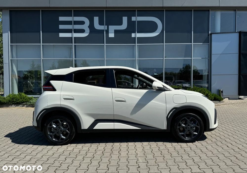 BYD Dolphin Surf - 9