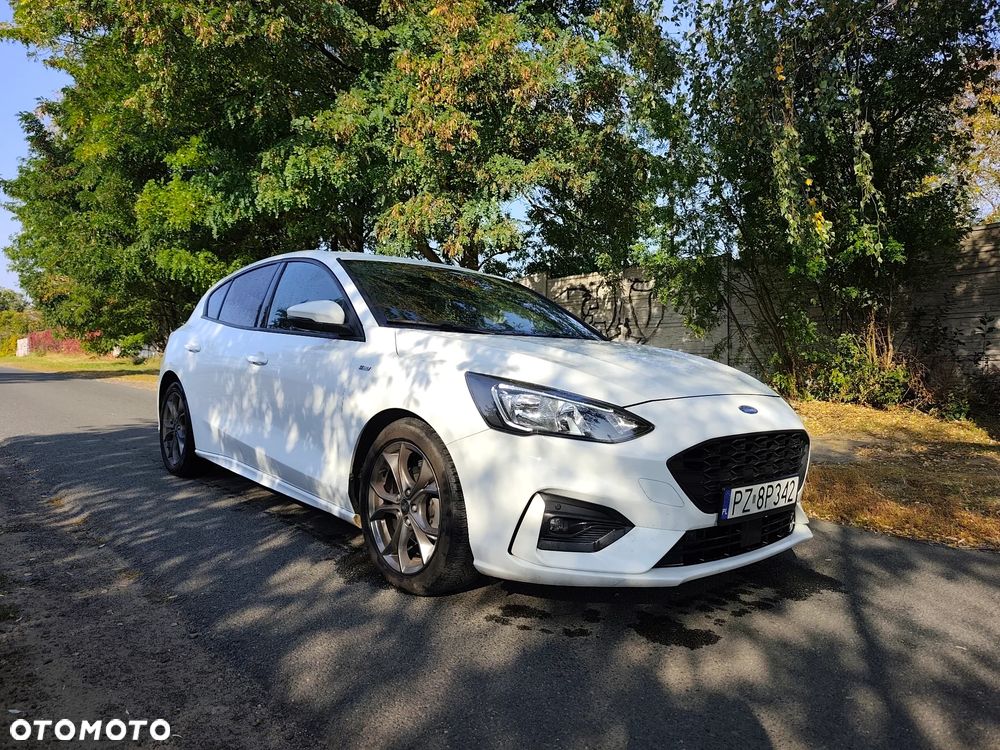 Ford Focus 2019 photo 3