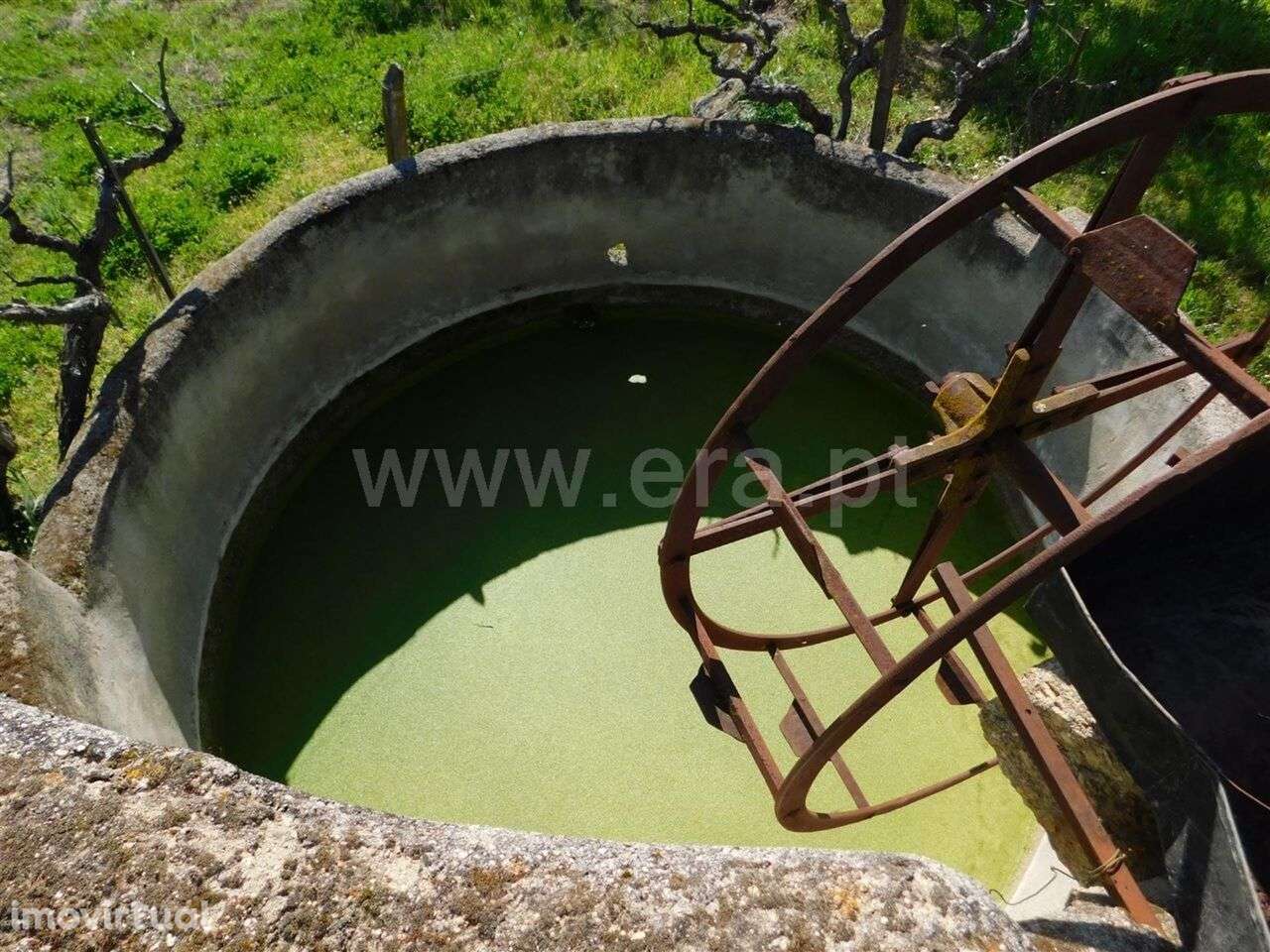 Quintinha / Fundão, Orca - Grande imagem: 3/11