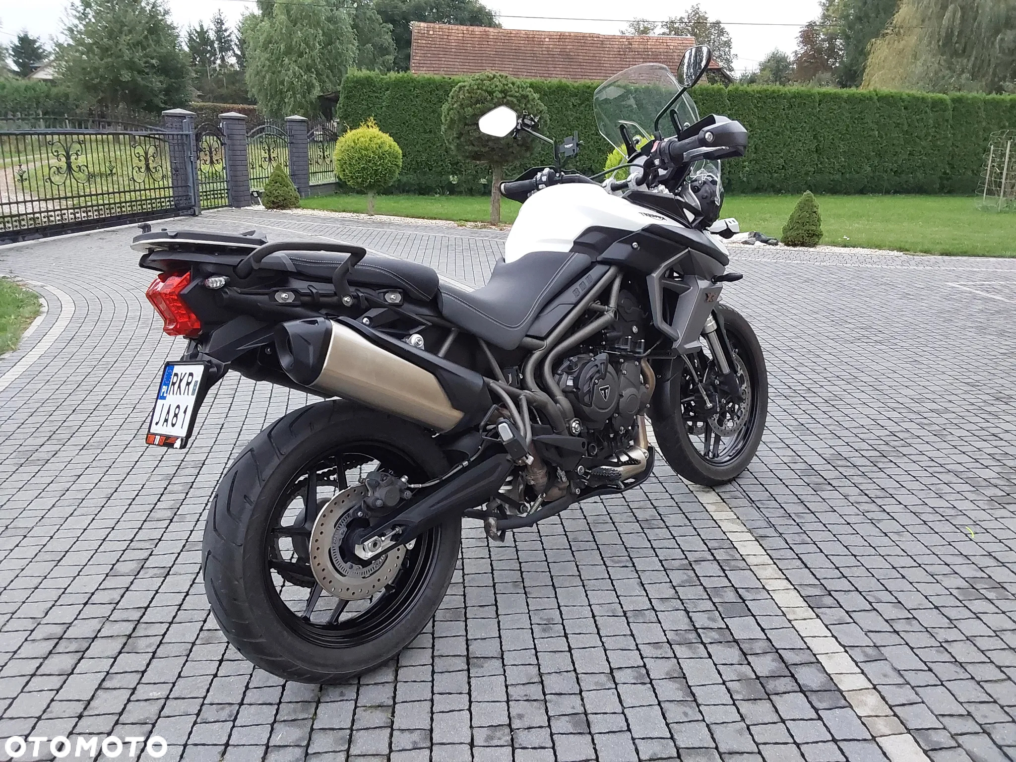 Triumph Tiger - 3