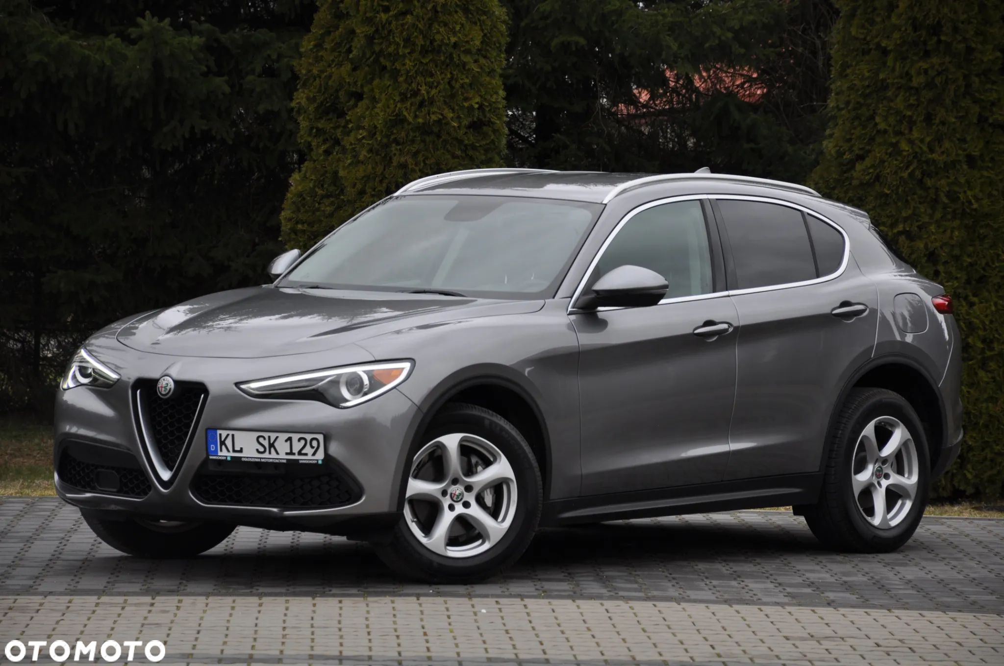 Alfa Romeo Stelvio 2.0 Turbo 16V AT8-Q4 Executive - 1