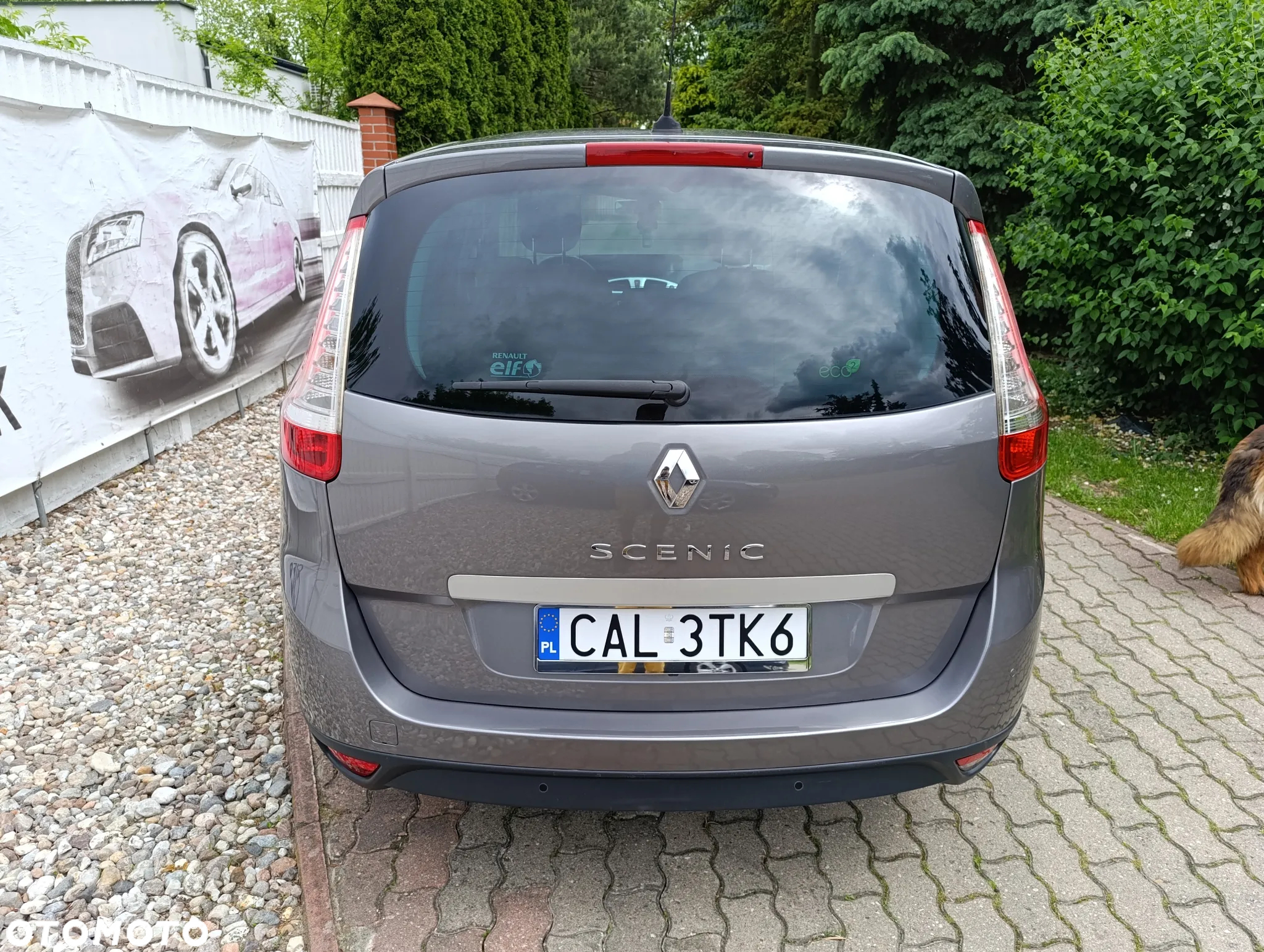 Renault Scenic - 19