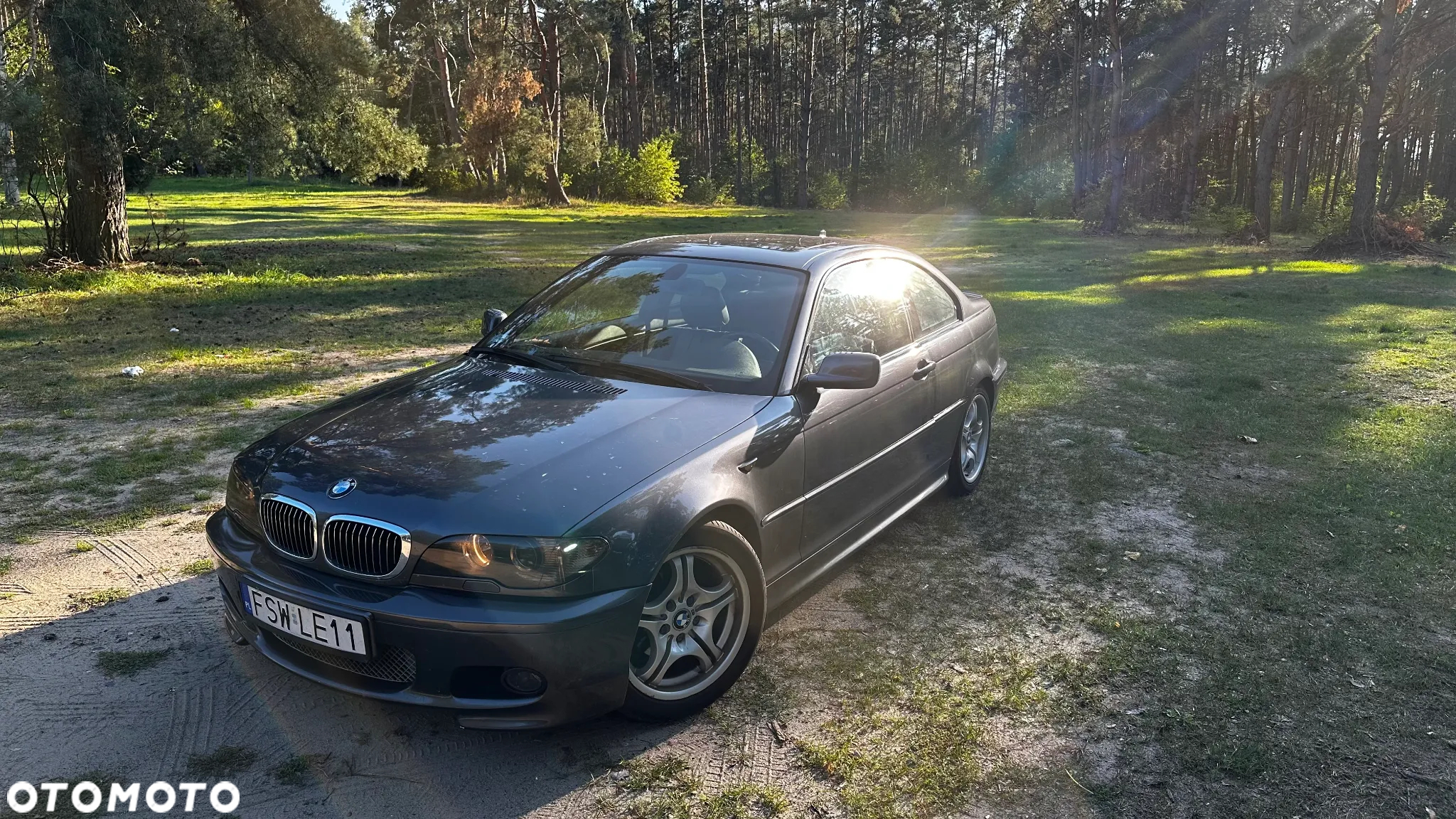 BMW Seria 3 320 Ci - 2