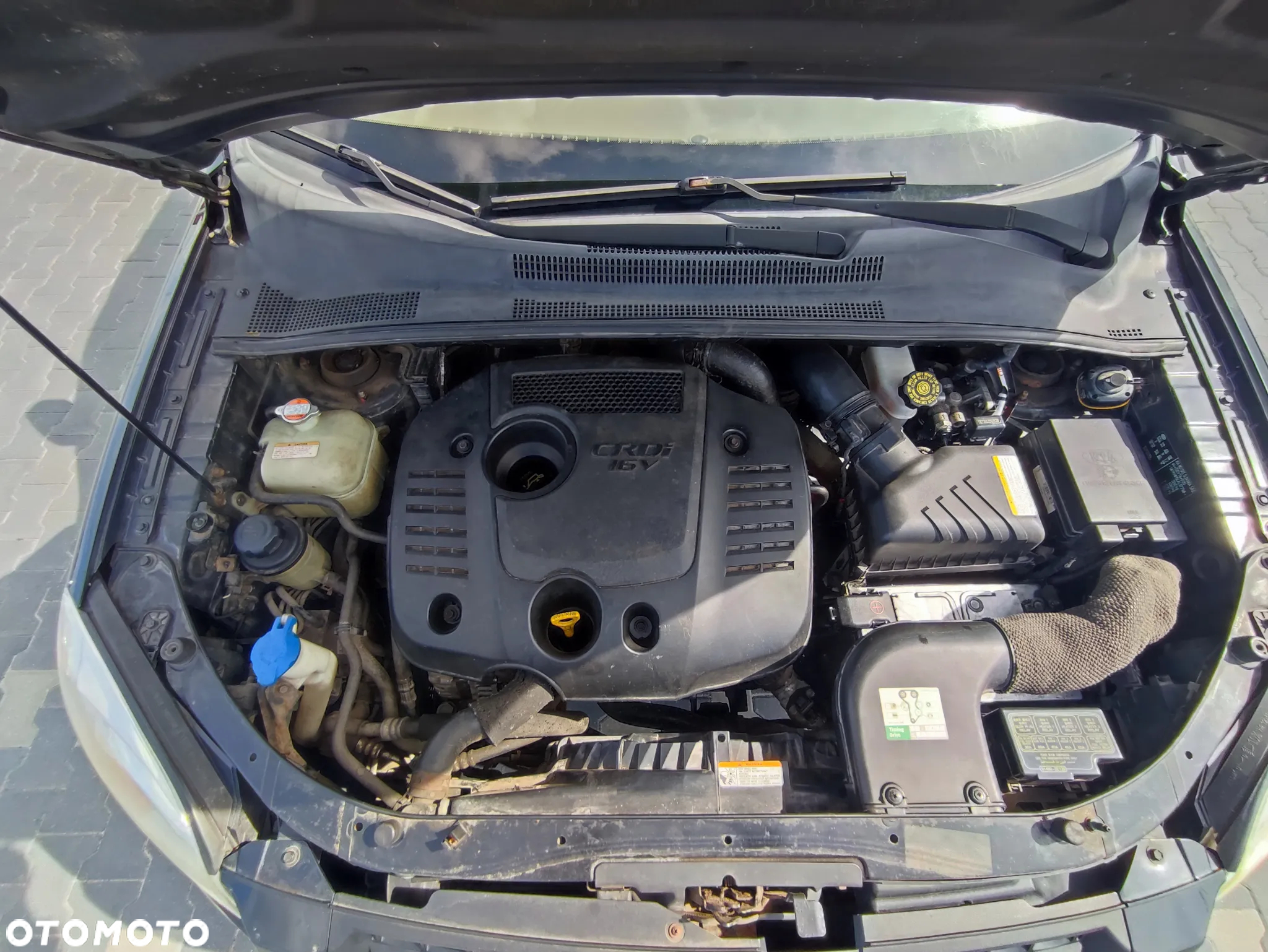 Kia Sportage - 15