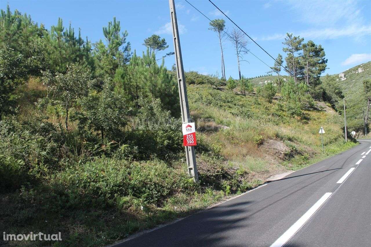 Terreno / Baião, Gove - Grande imagem: 2/6