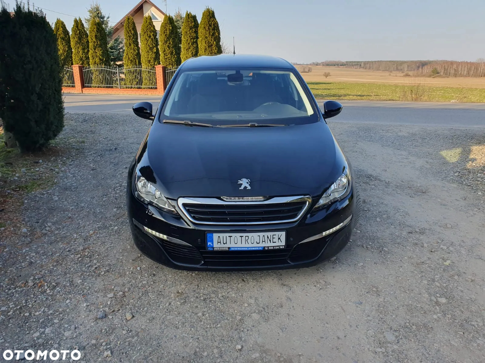 Peugeot 308 1.6 BlueHDi Active S&S - 2