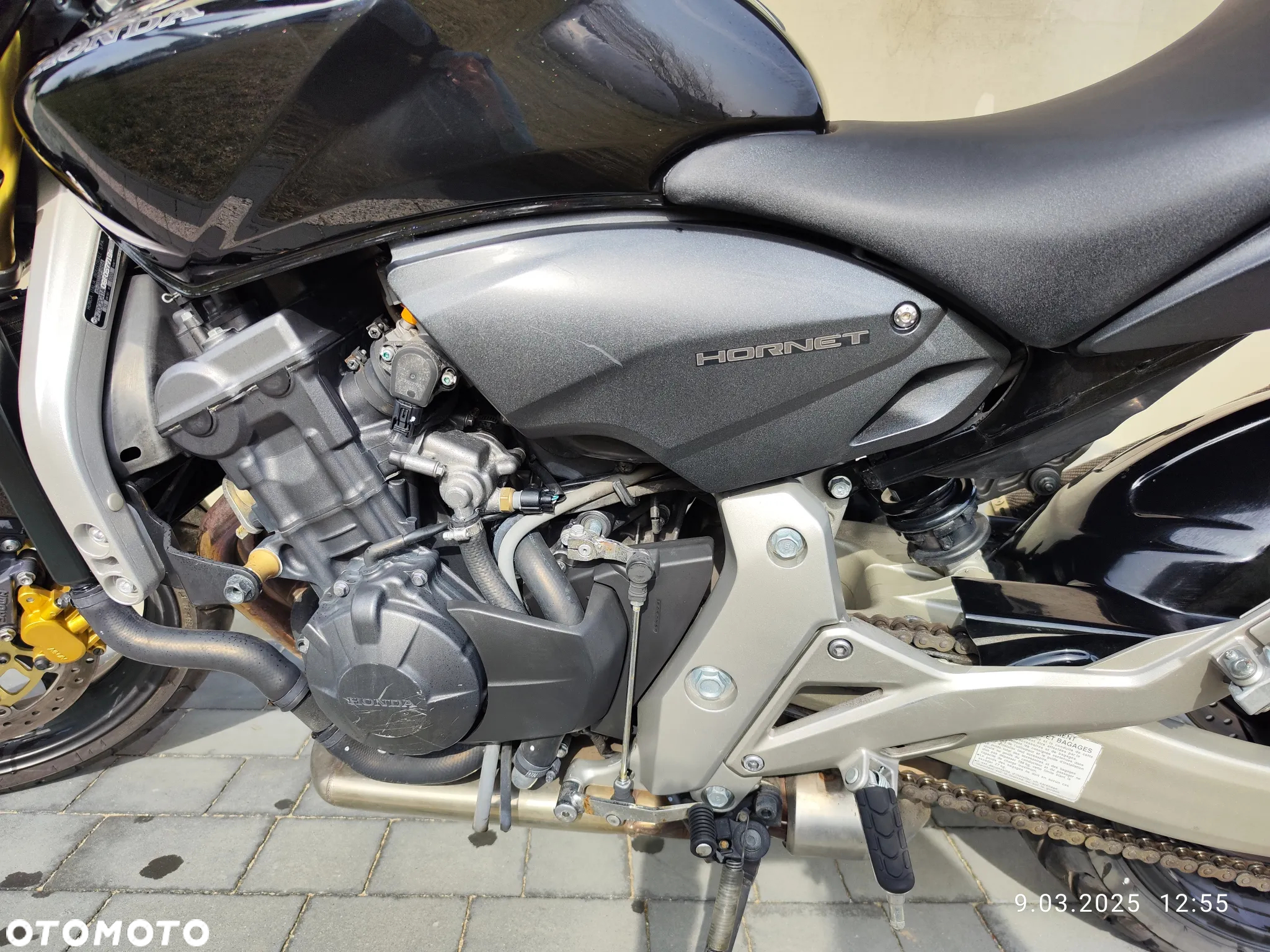 Honda Hornet - 18