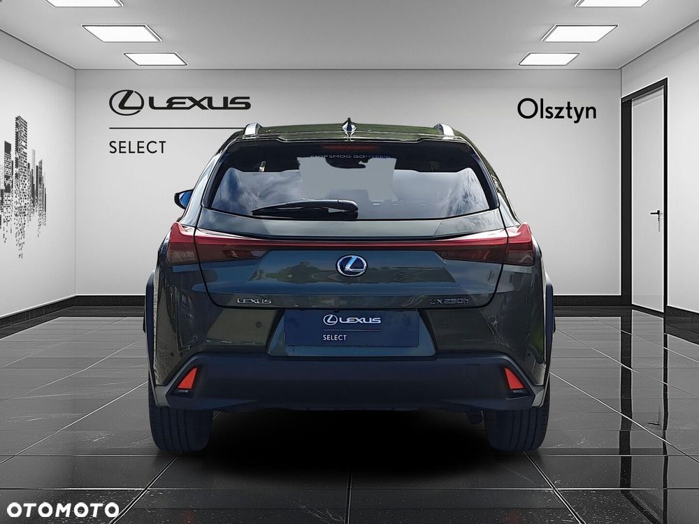 Lexus UX 250h GPF Prestige 2WD - 6