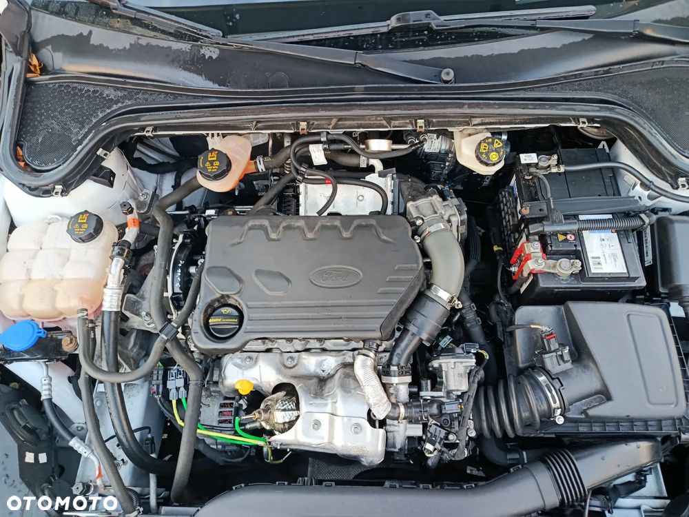 Ford Focus 1.5 EcoBlue Start-Stopp-System ACTIVE - 24