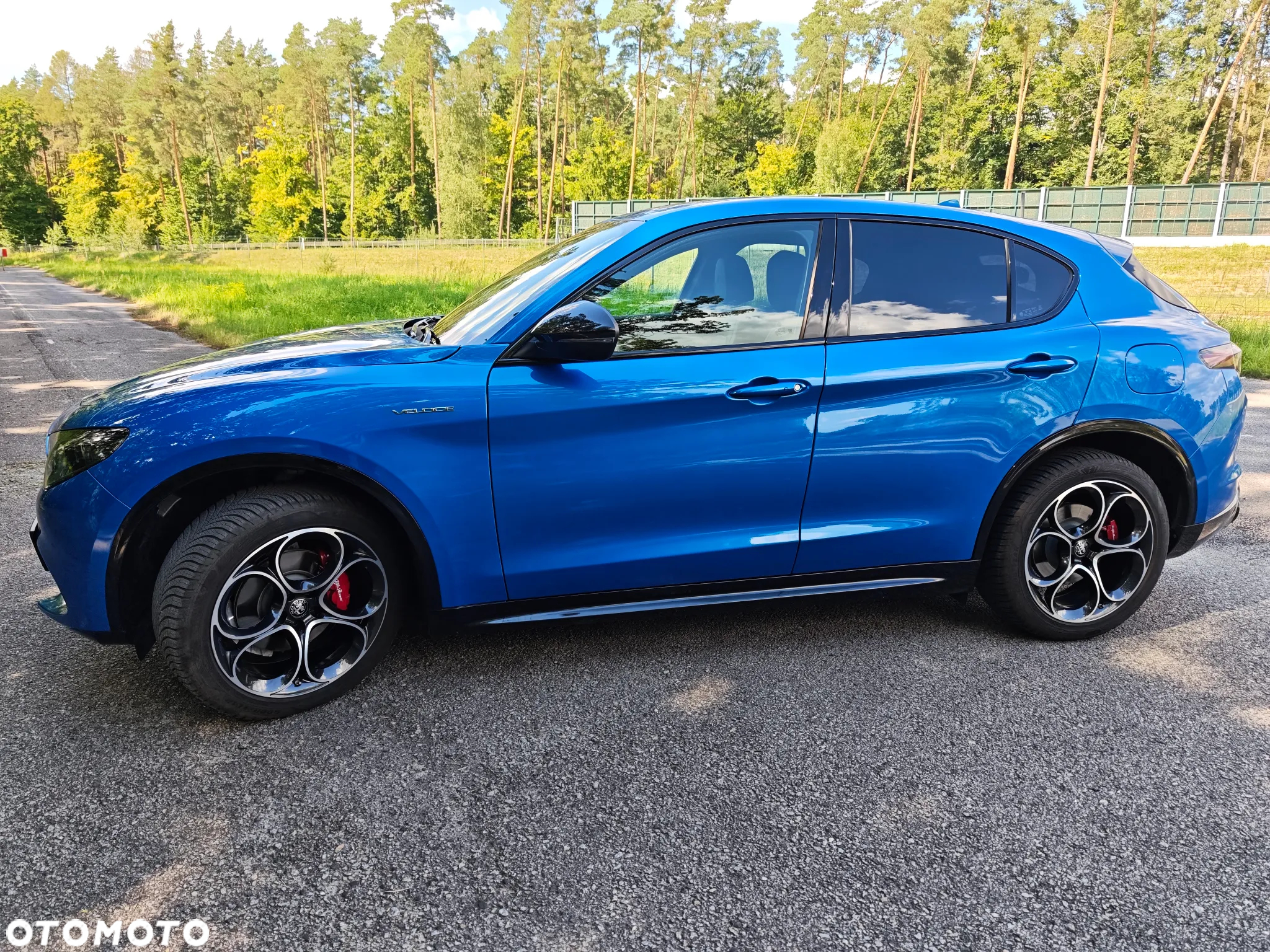 Alfa Romeo Stelvio 2.0 Turbo Veloce Q4 - 2