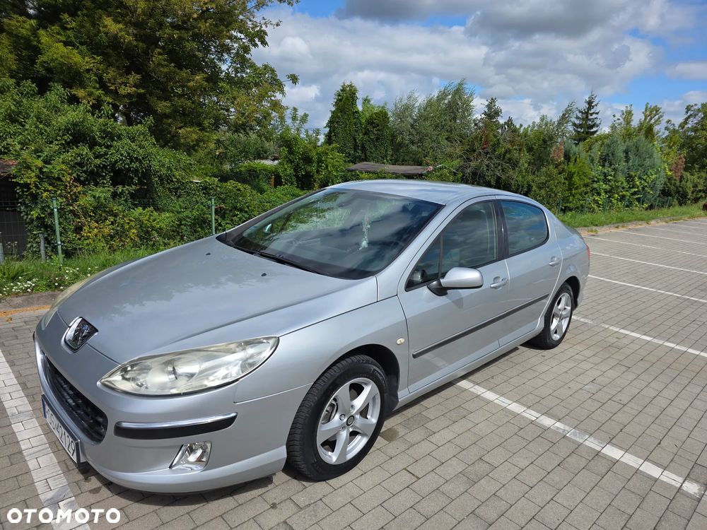 Peugeot 407 - 19