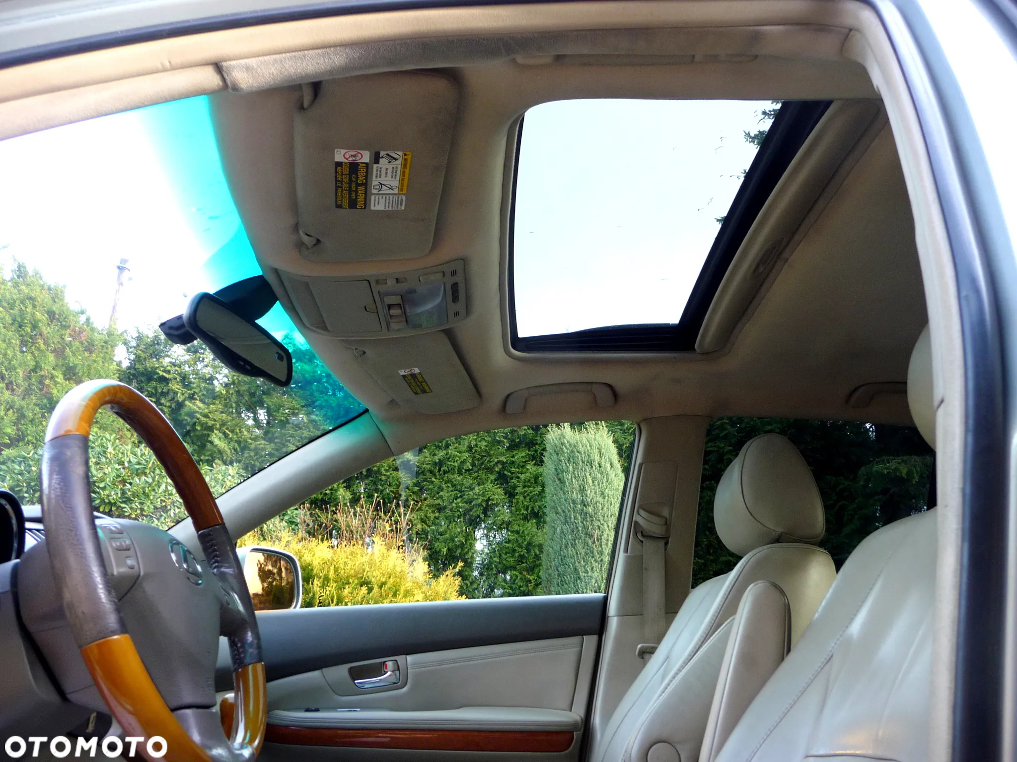 Lexus RX 330 - 39