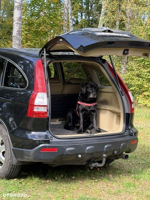 Honda CR-V - 4
