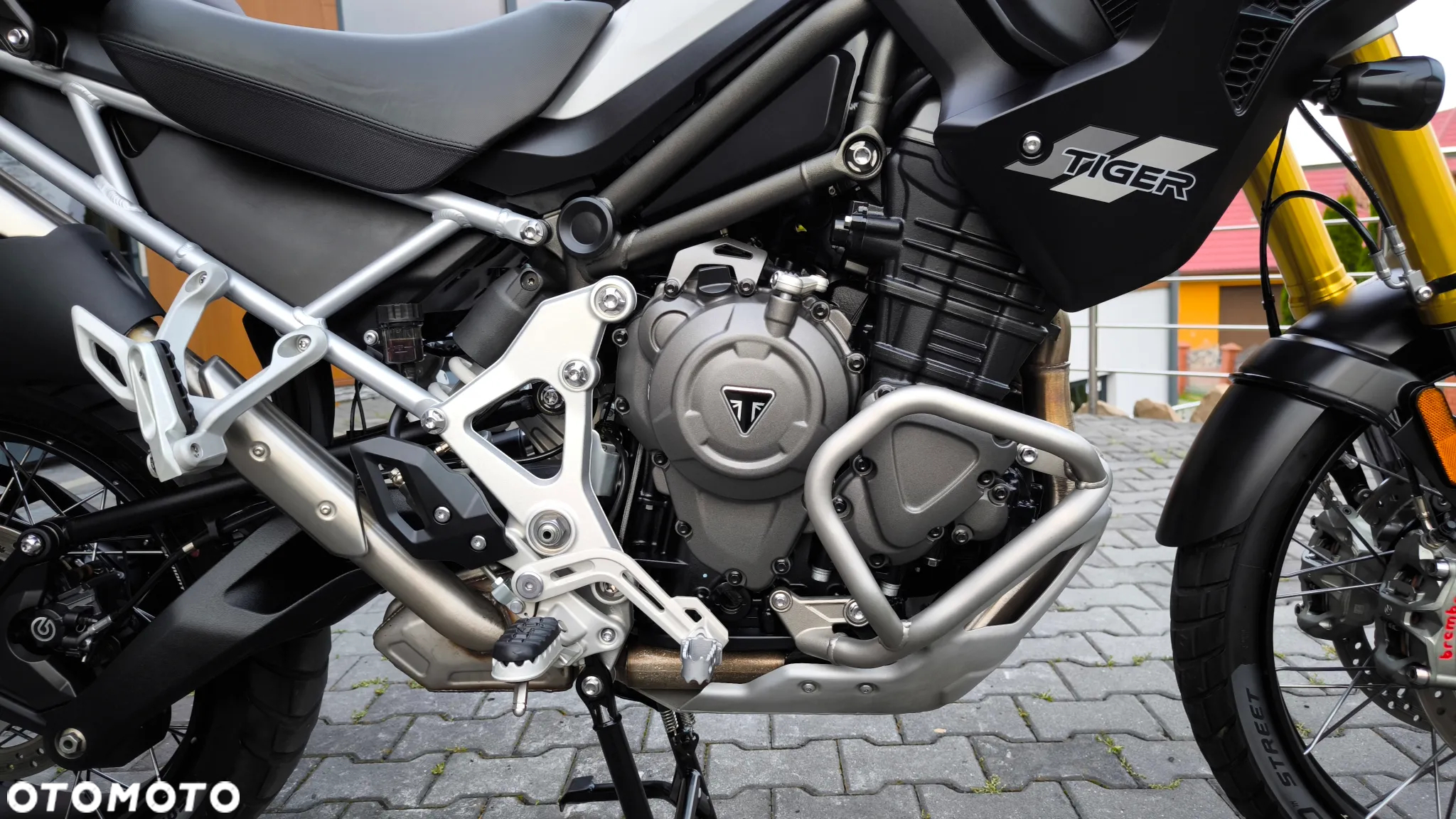 Triumph Tiger - 25