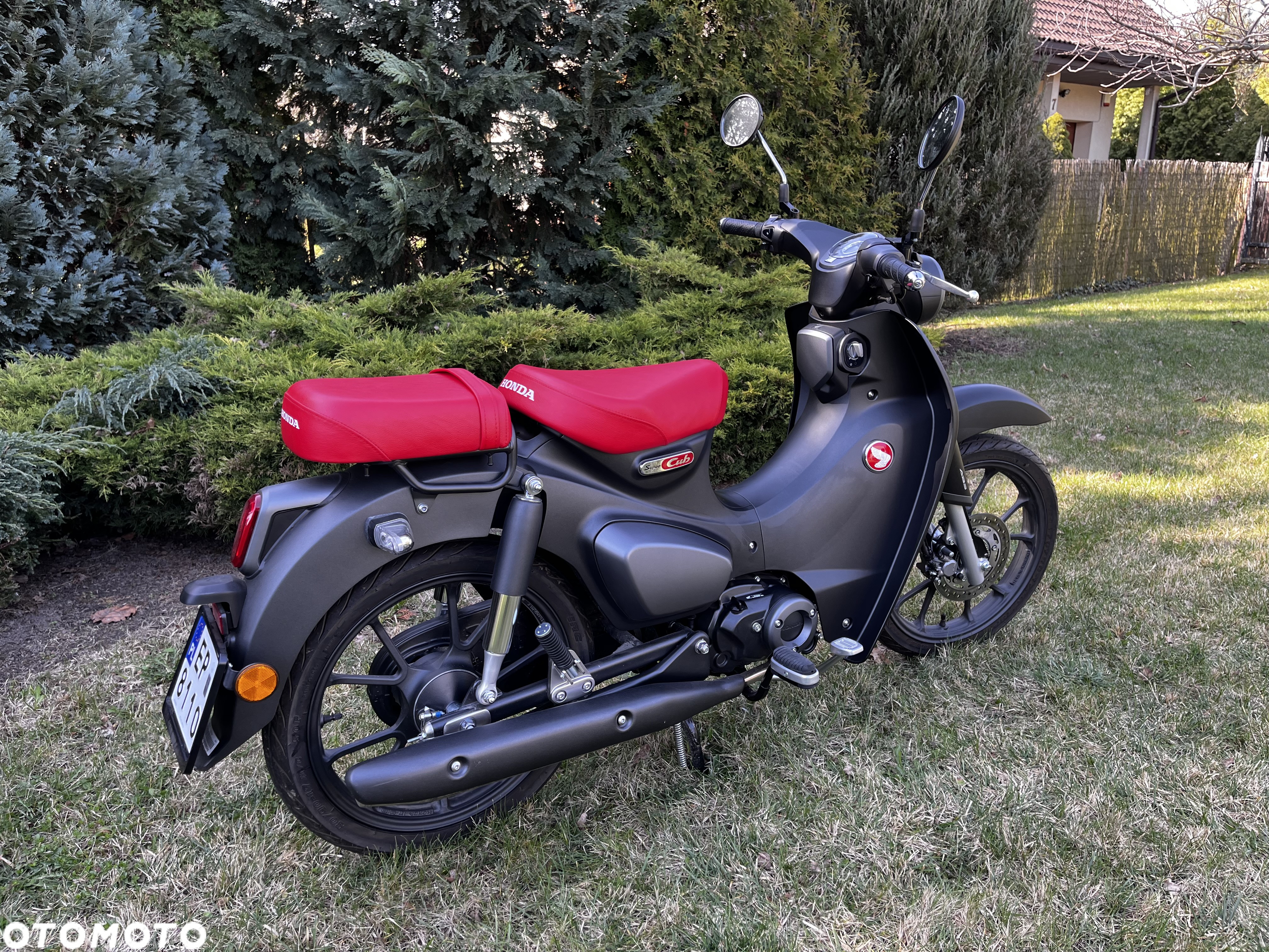 Honda Super Cub - 2