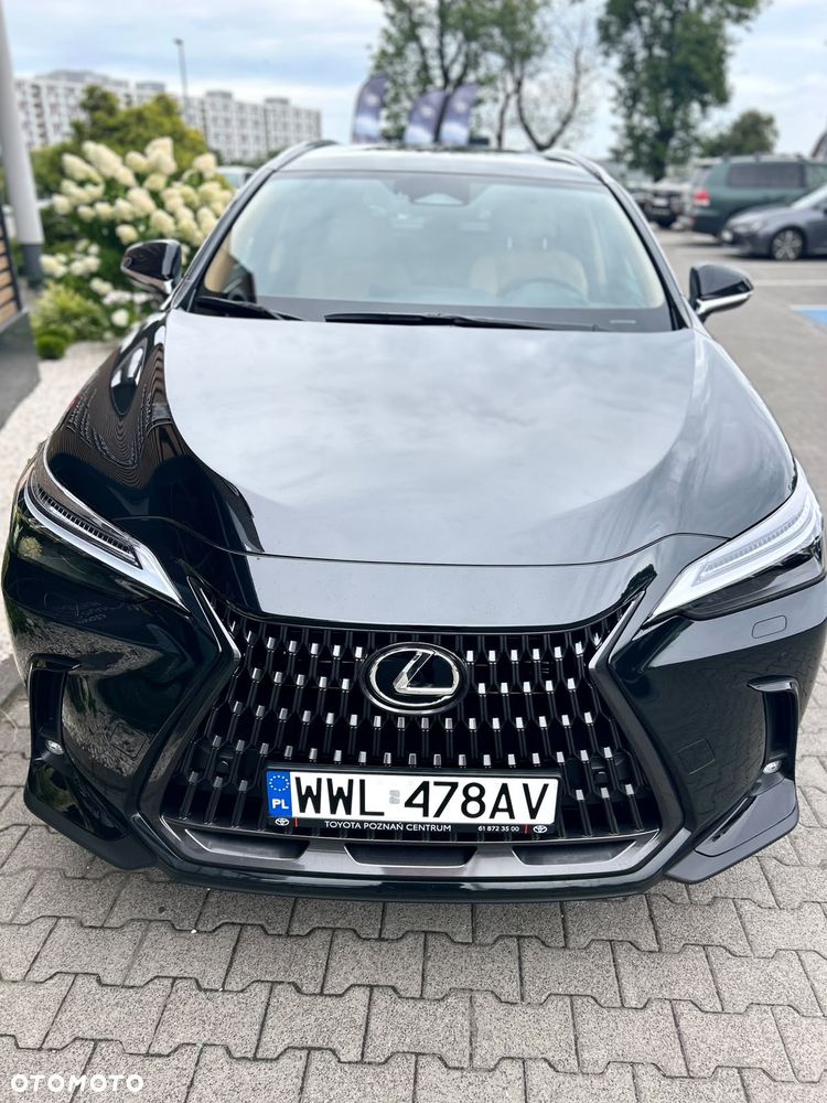Lexus NX - 12