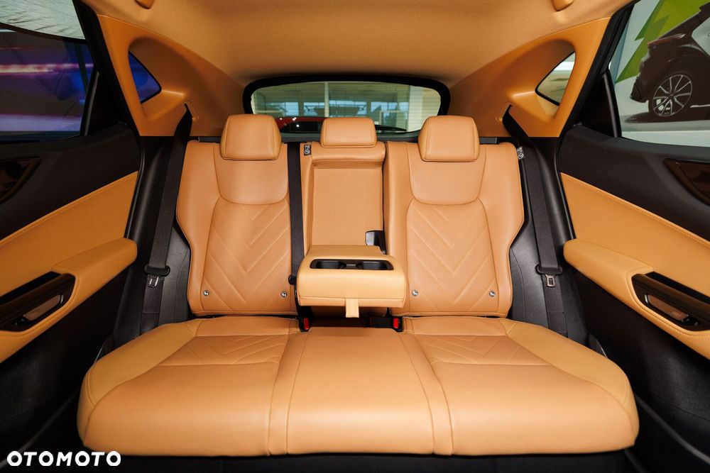 Lexus NX - 21