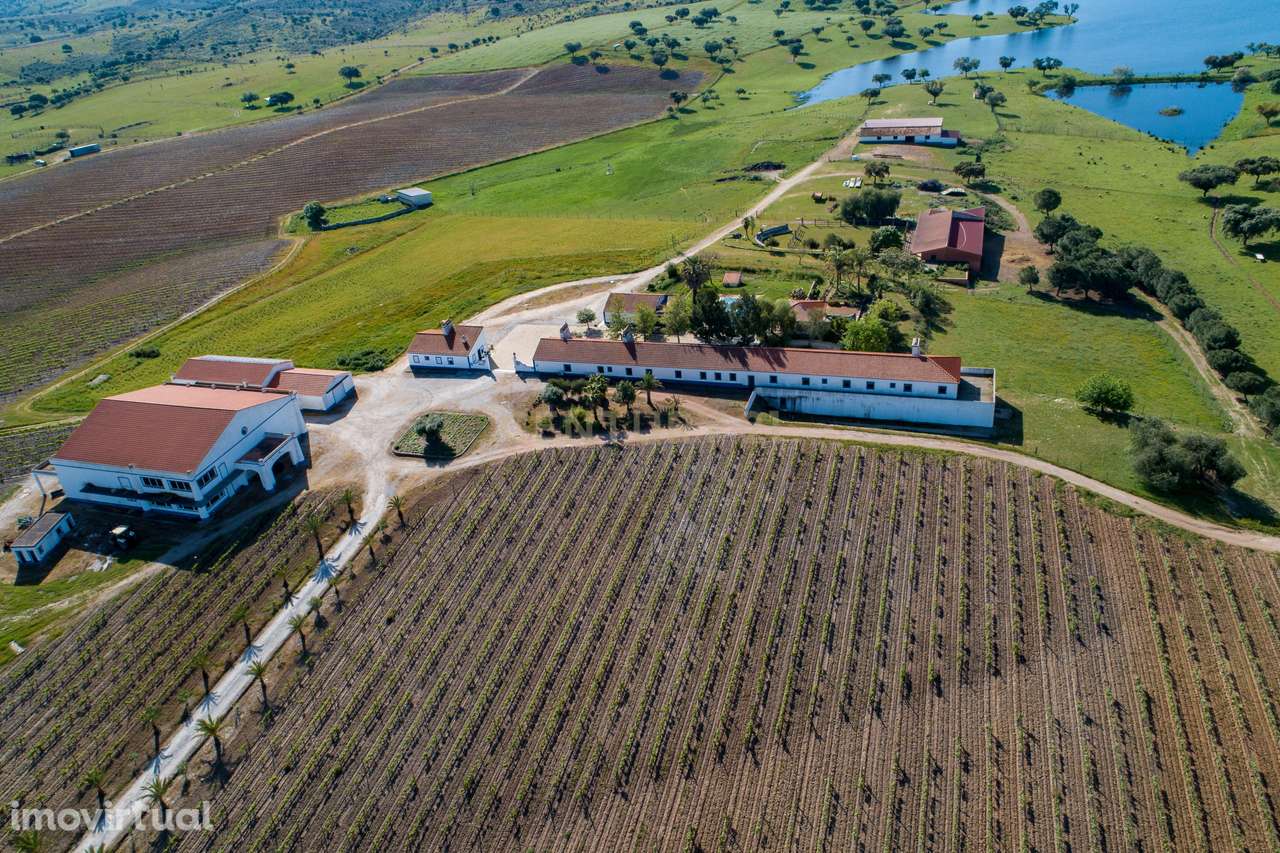 Herdade de 190 Hectares (16 Hectares de Vinha) a 10 km do lago de Alqu - Grande imagem: 4/40