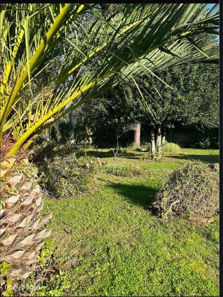 Casa com grande espaco em zona central dos carvalhos - Grande imagem: 2/2