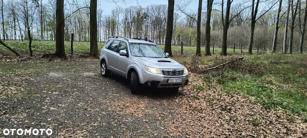 Subaru Forester - 15