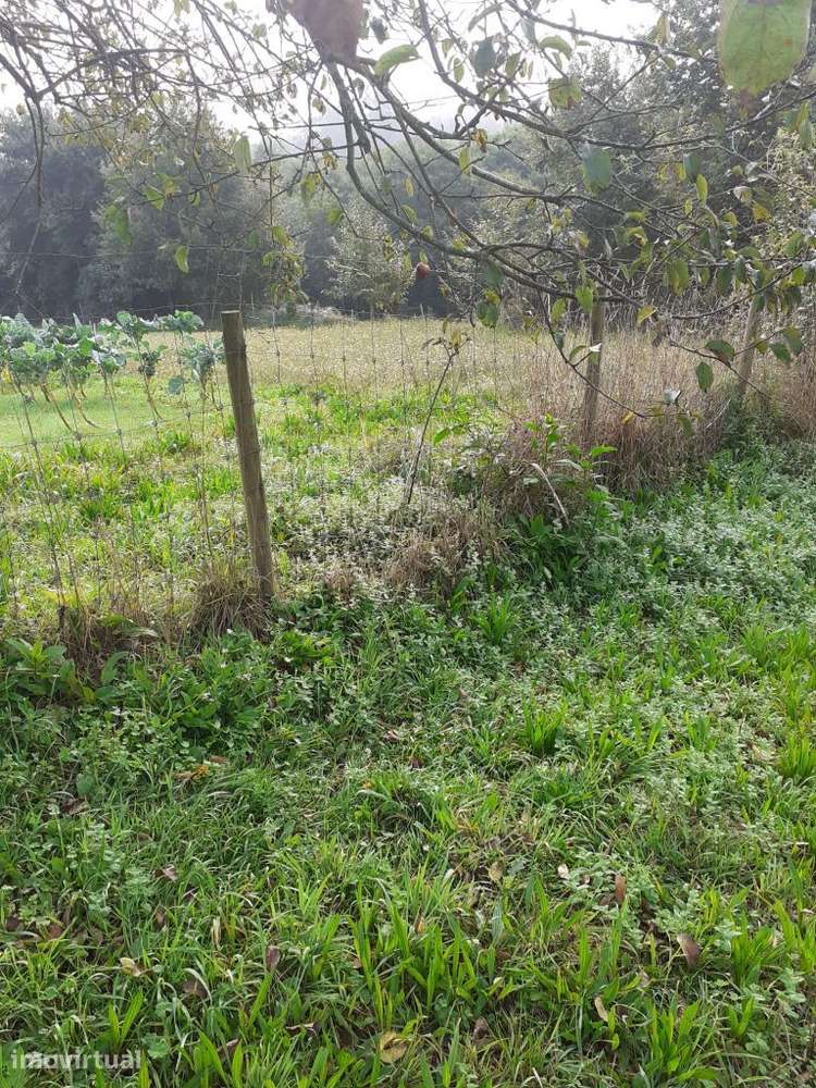 Terreno c/2000 m² | Santa Maria da Feira - Grande imagem: 5/8
