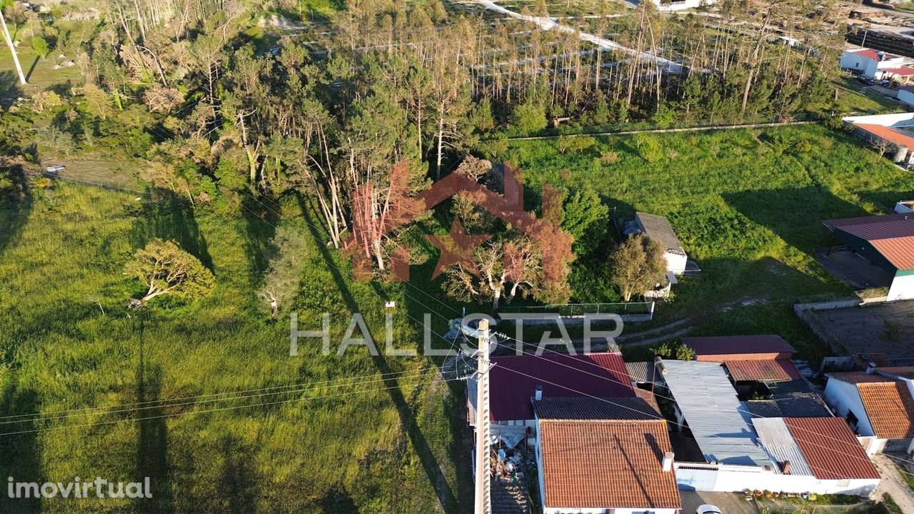 Terreno para Construção / Área Total de 533m2 / Monte Redondo - Grande imagem: 2/17