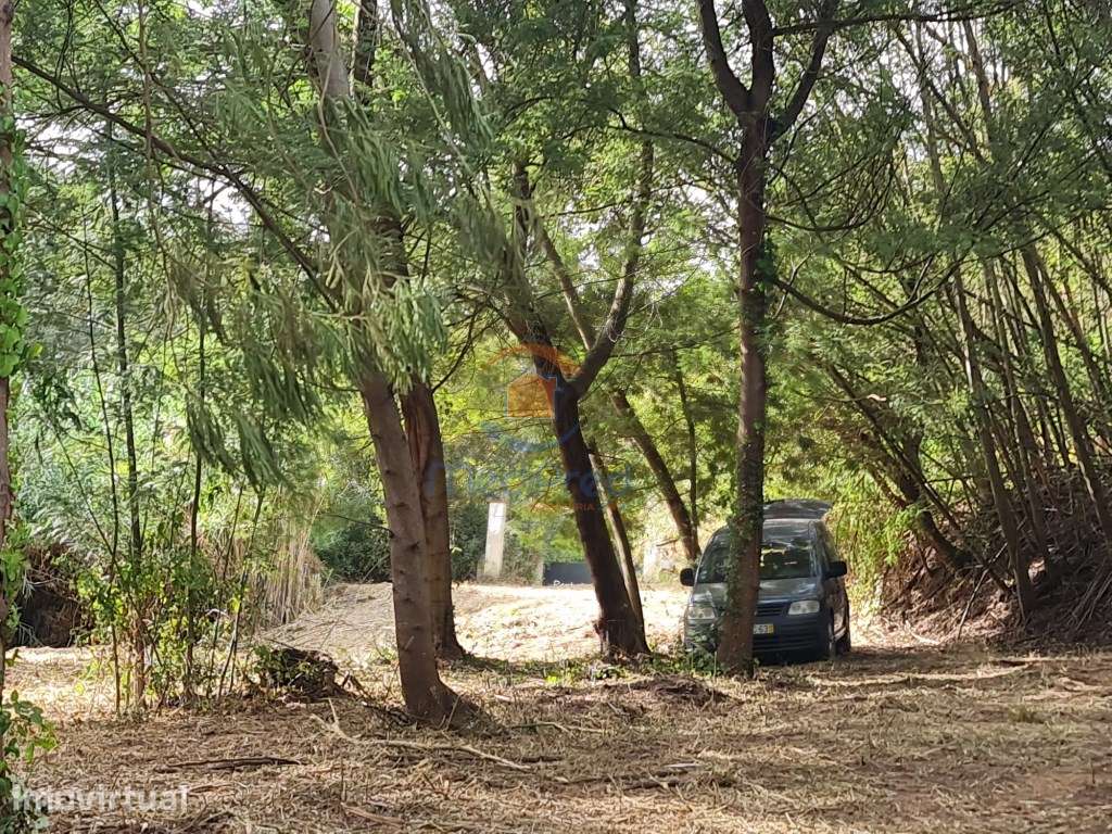 Azenha em Terreno Rústico 4.000m2 | Casais Brancos, Alenquer - Grande imagem: 3/6
