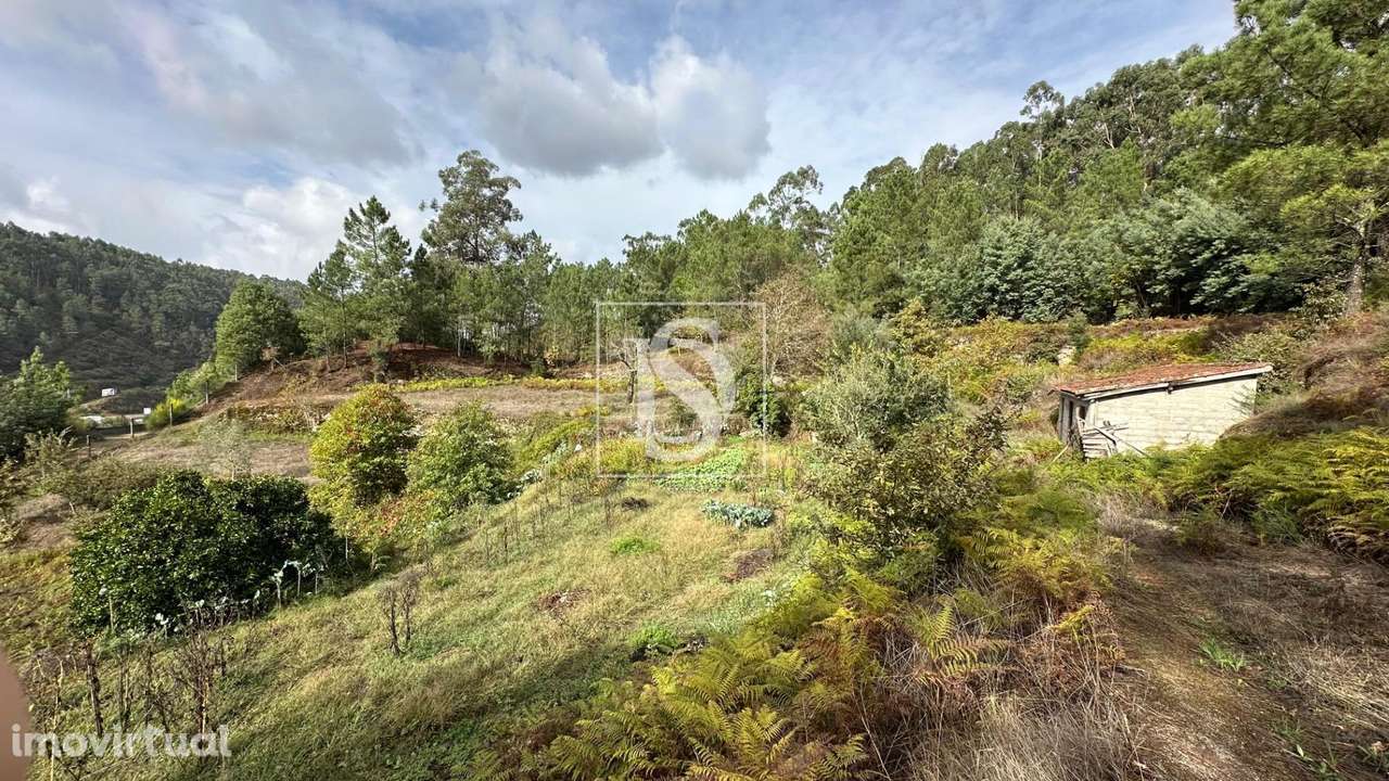 Terreno  Venda em Padronelo,Amarante - Grande imagem: 3/15