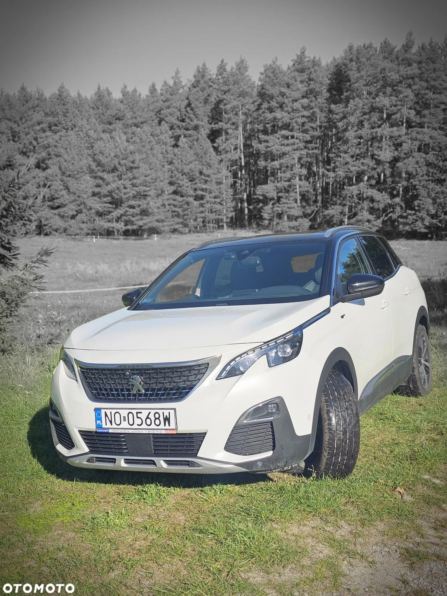 Peugeot 3008 2.0 BlueHDi GT S&S EAT8 - 11
