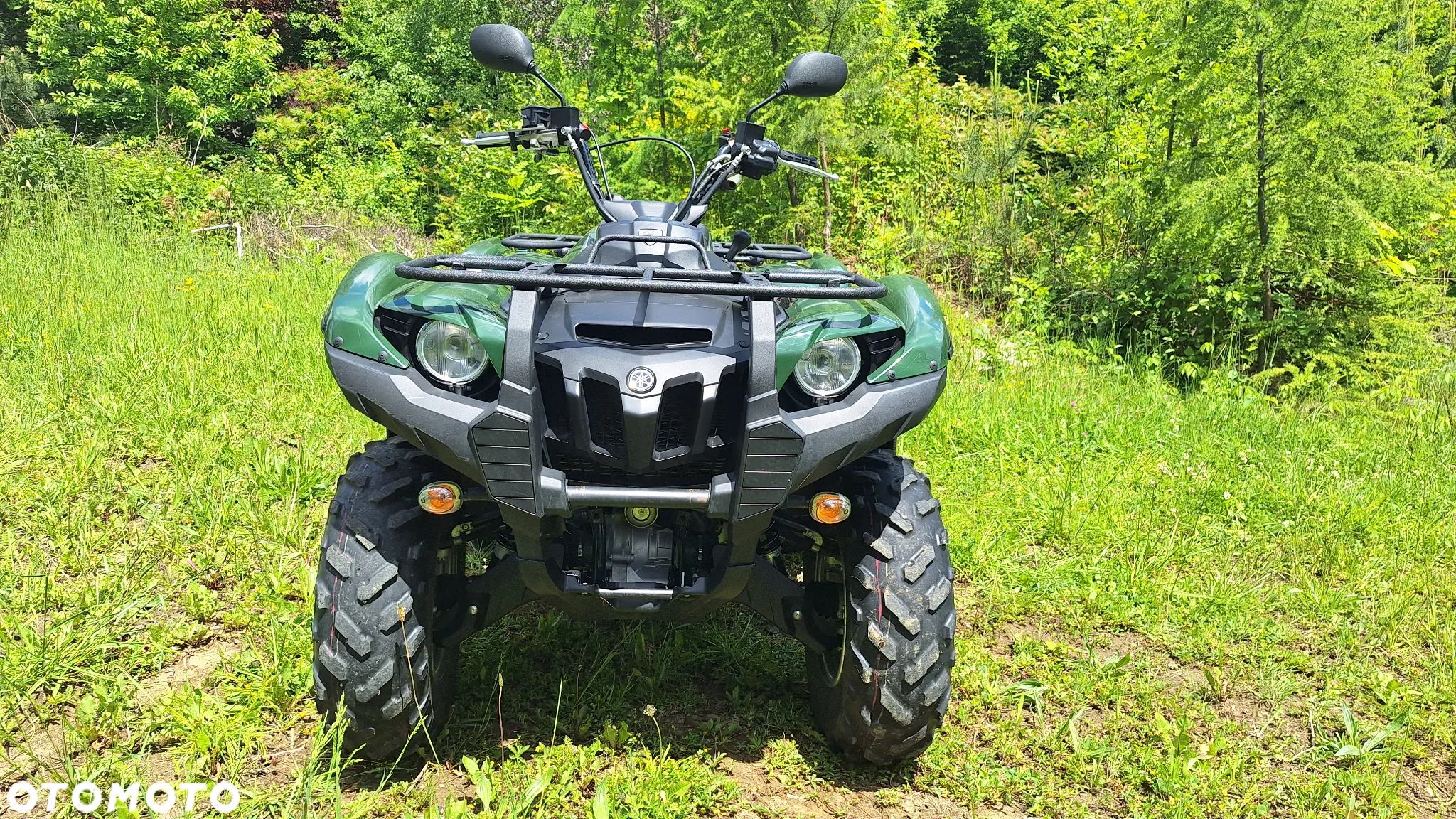 Yamaha Grizzly