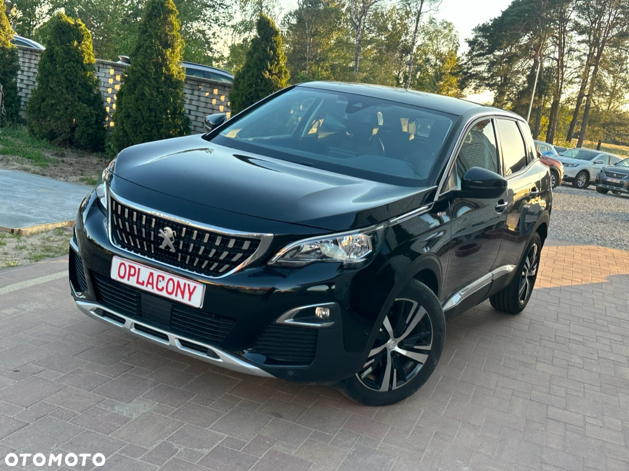 Peugeot 3008 - 13