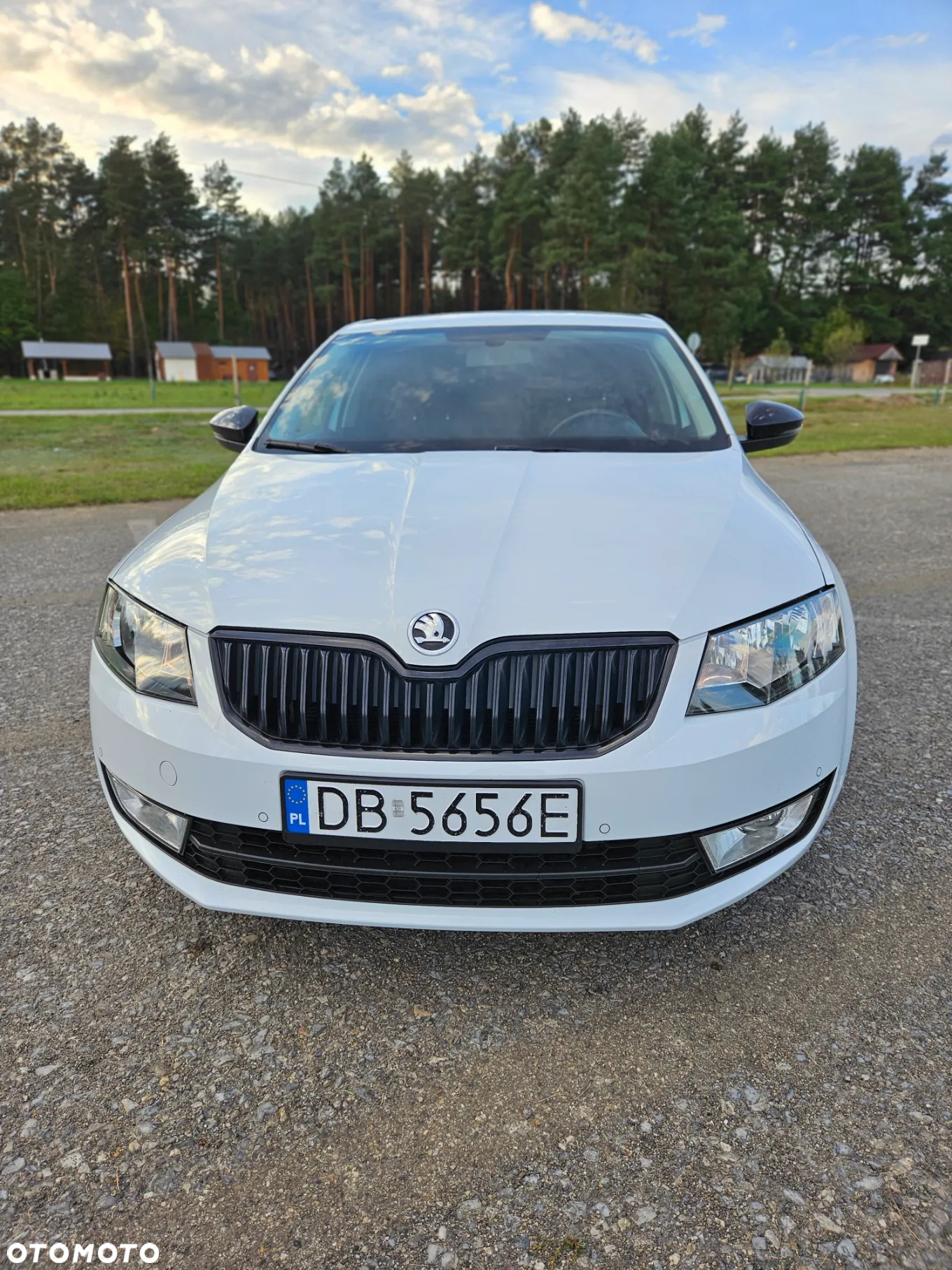 Skoda Octavia 1.4 TSI Active - 2