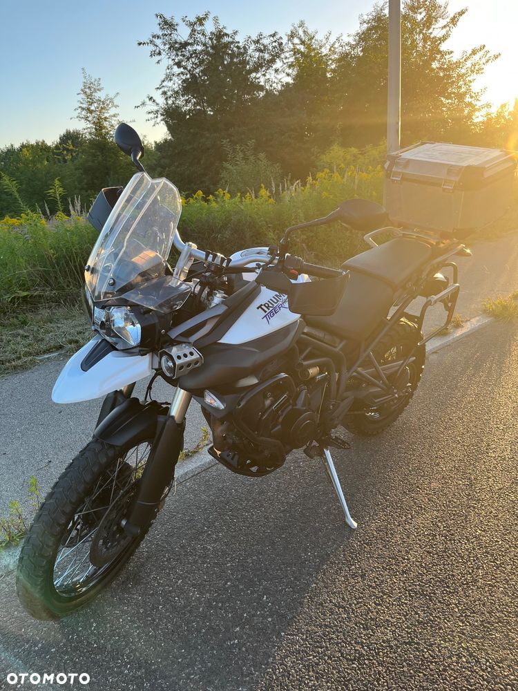 Triumph Tiger - 10