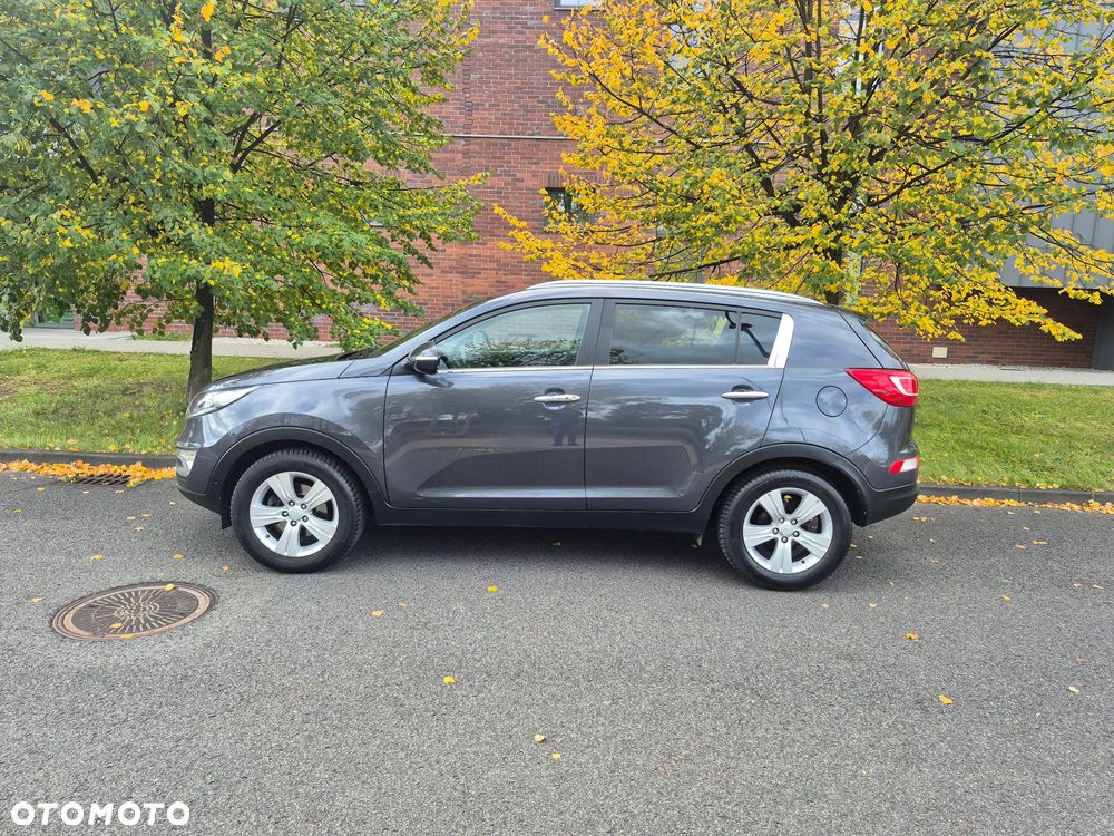 Kia Sportage - 15