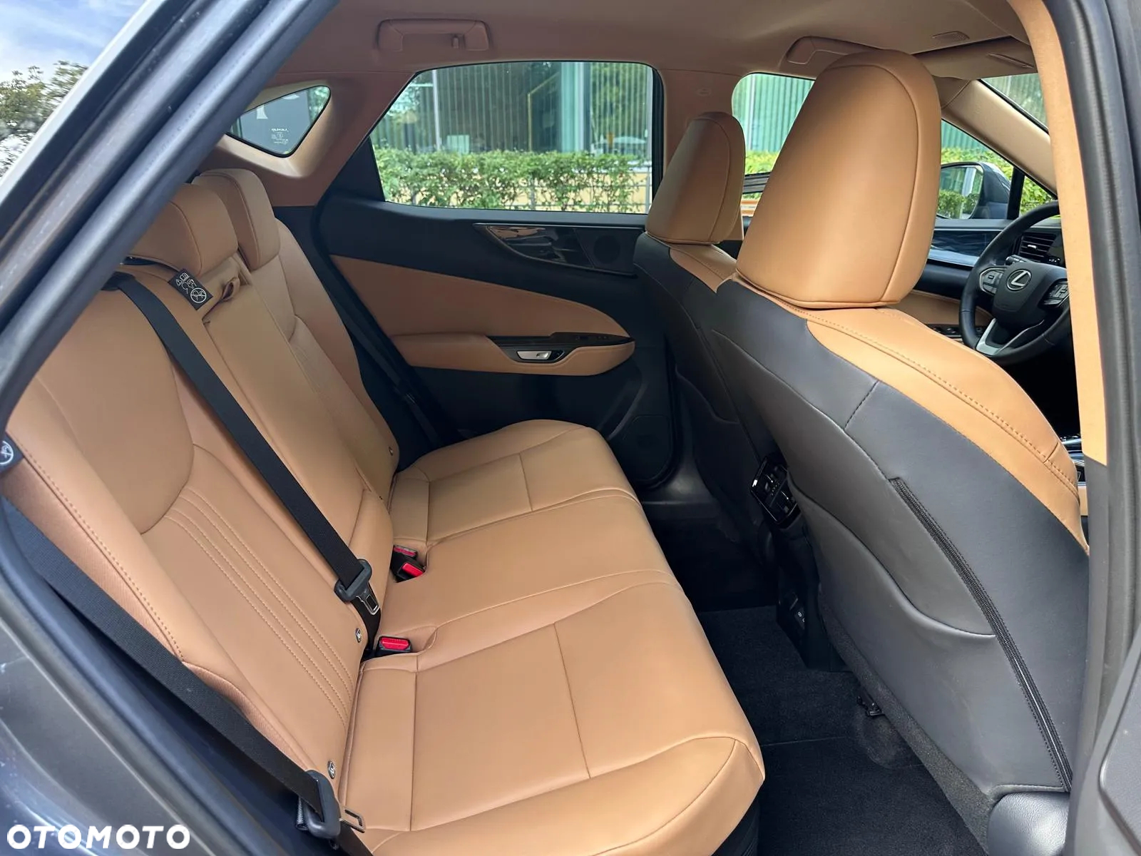 Lexus NX 350h Prestige 2WD - 13