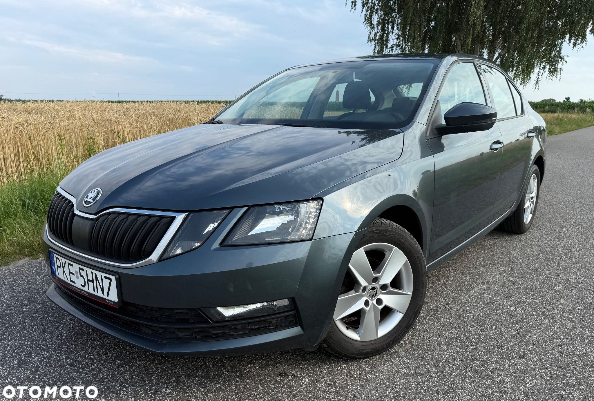 Skoda Octavia 1.6 TDI Active - 1