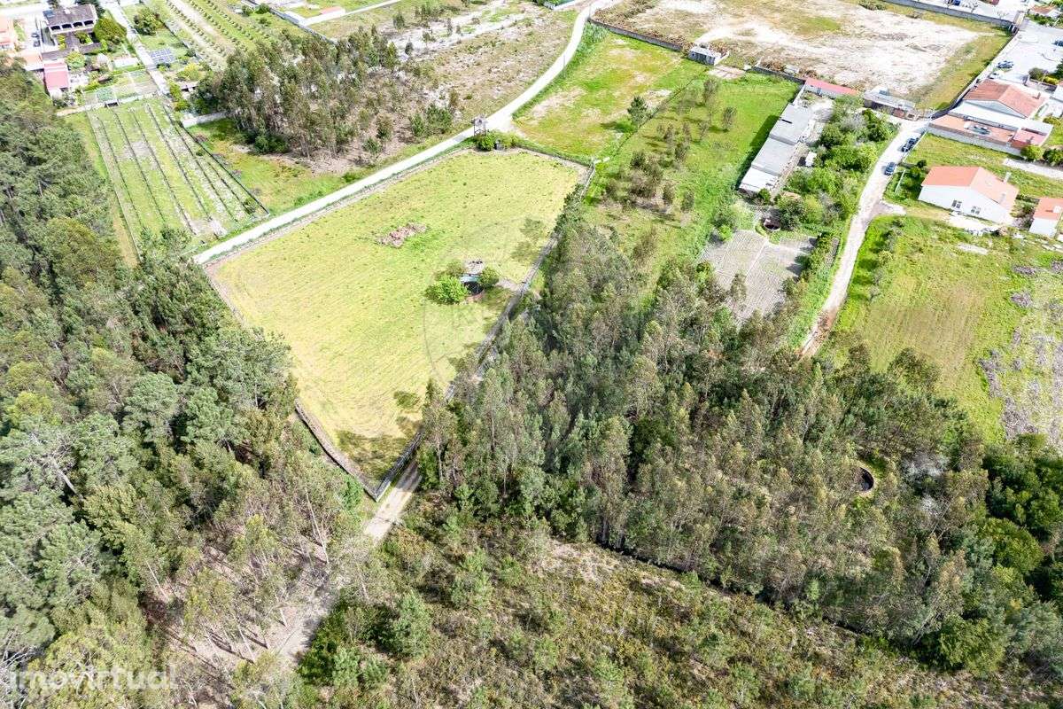 Terreno  para venda - Grande imagem: 3/19