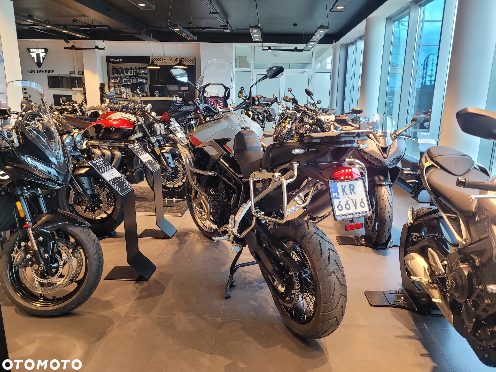 Triumph Tiger