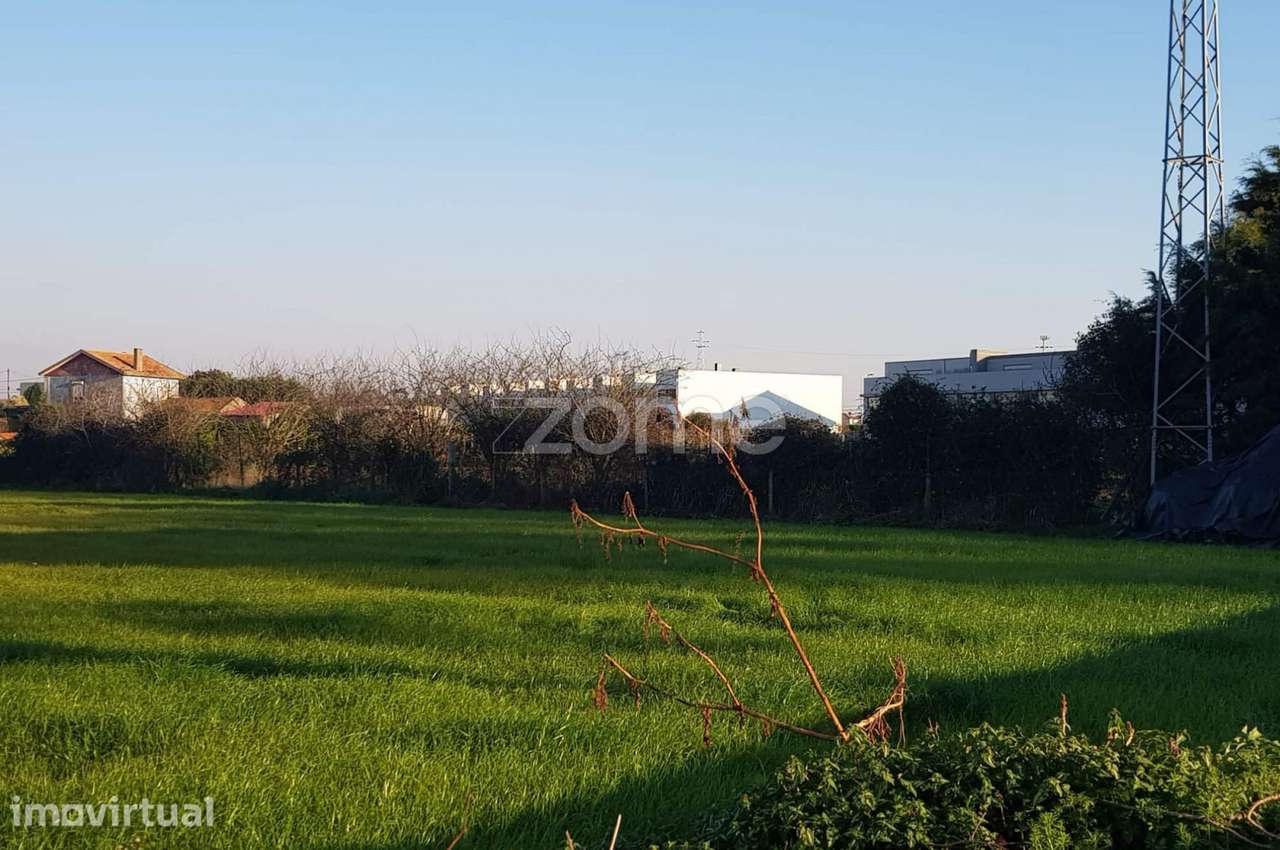 Terreno para Investimento em Lavra, Matosinhos - Grande imagem: 4/20