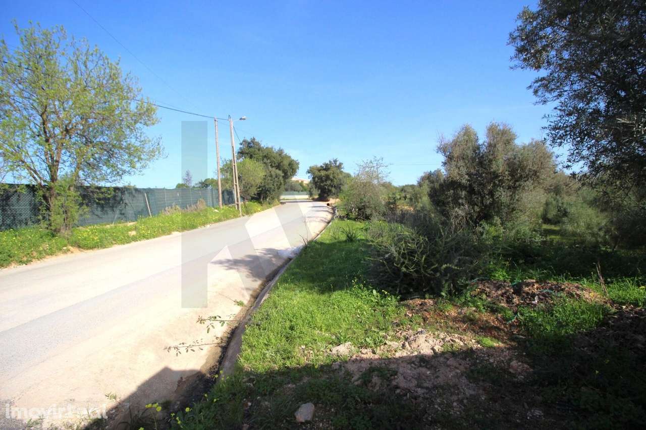 TERRENO RUSTICO, ESTOMBAR, LAGOA - Grande imagem: 2/21